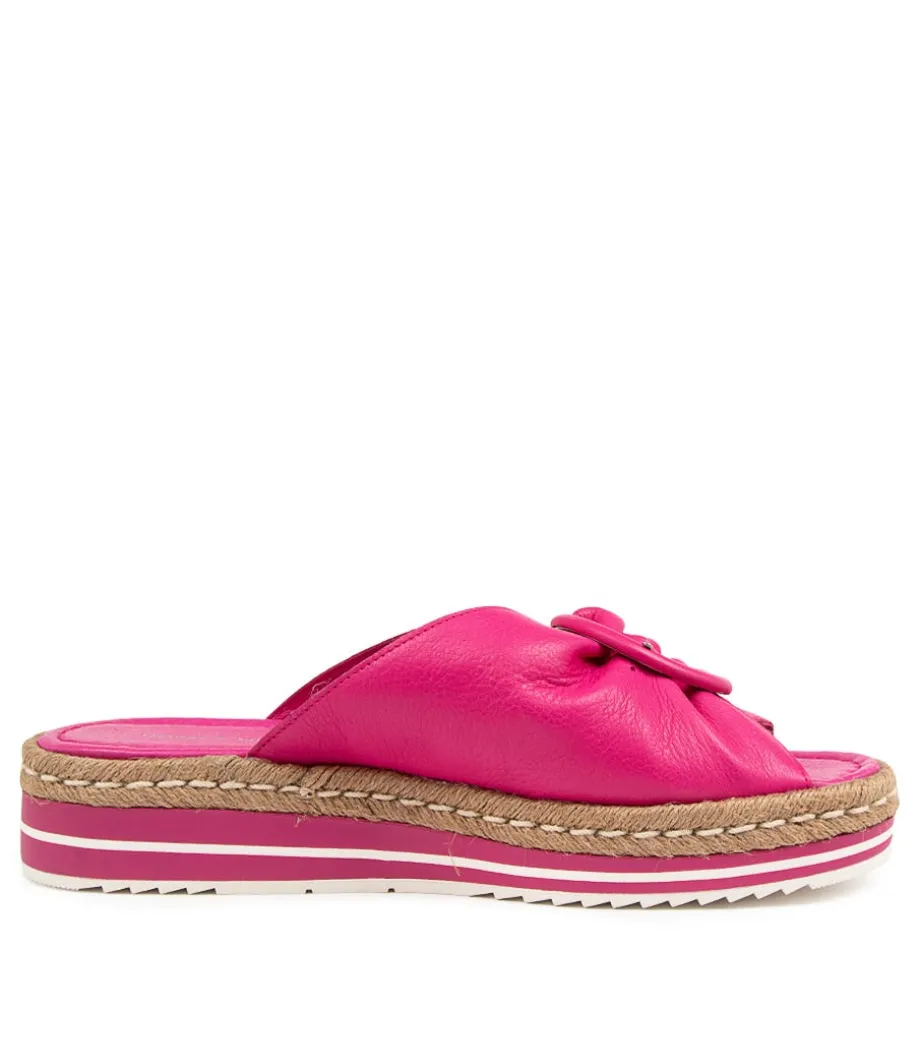 Arturo Lrg Fuchsia