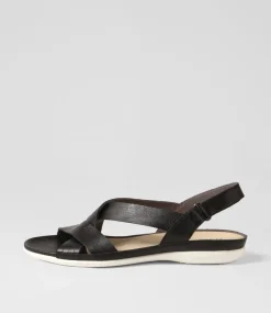 Bellmont W Black Leather Sandals