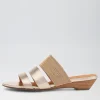 Blessings Platinum Multi Slides