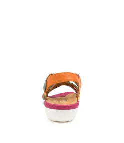 Briscoe W Orange Multi