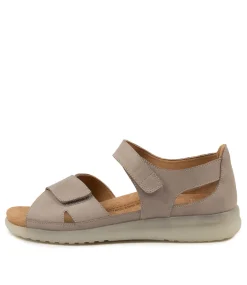 Bronn Xw Misty-Misty Lea