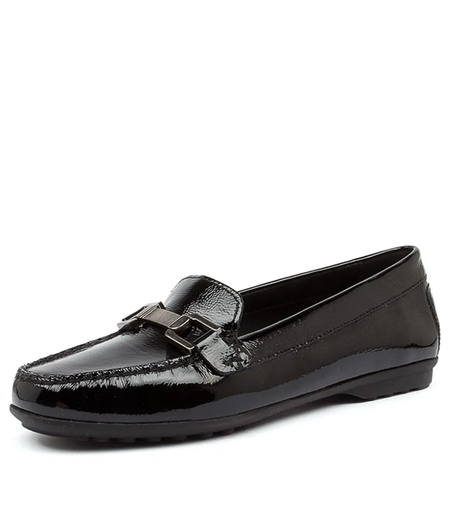 D Elidia C Black