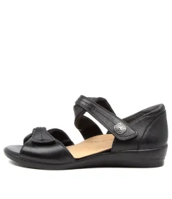 Doxie W Black Leather