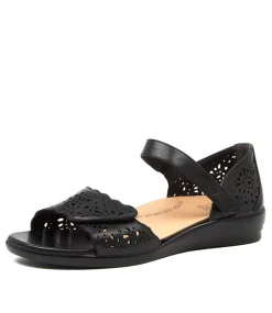 Dusty W Black Leather