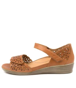 Dusty W Tan Leather