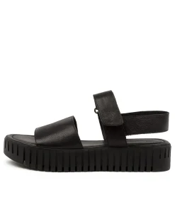 Erric Black-Black Leat