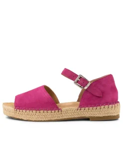 Kaylie W Fuchsia Suede