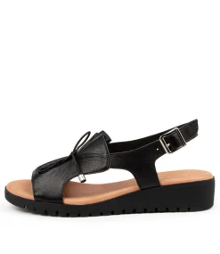 Malika Black Leather