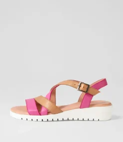 Matedy Fuchsia Dark Tan Multi Sandals