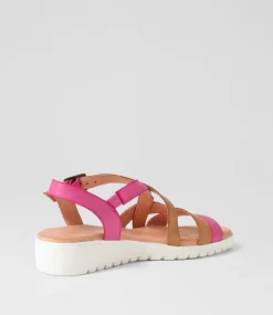 Matedy Fuchsia Dark Tan Multi Sandals