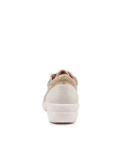 Newton W White Multi