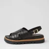 Sasi Black Croc Leather Sandals
