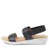 Usaid W Navy Elastic