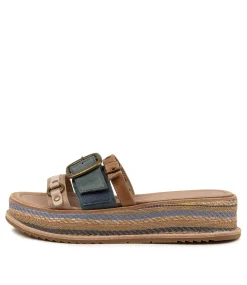 Vitan Blue Multi