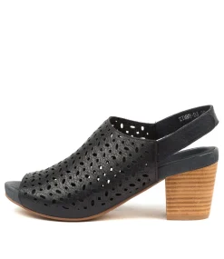 Zimmy Navy Leather